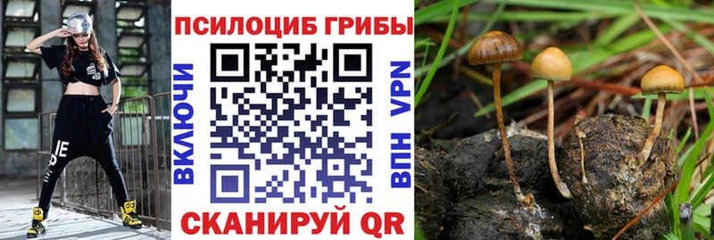Псилоцибиновые грибы Magic Shrooms Лабытнанги